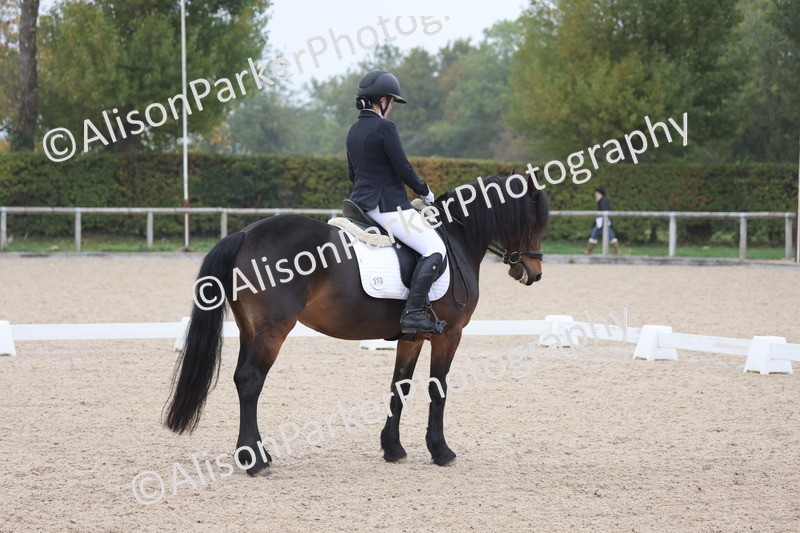 20251012-0536 - Class 4 - Novice 6