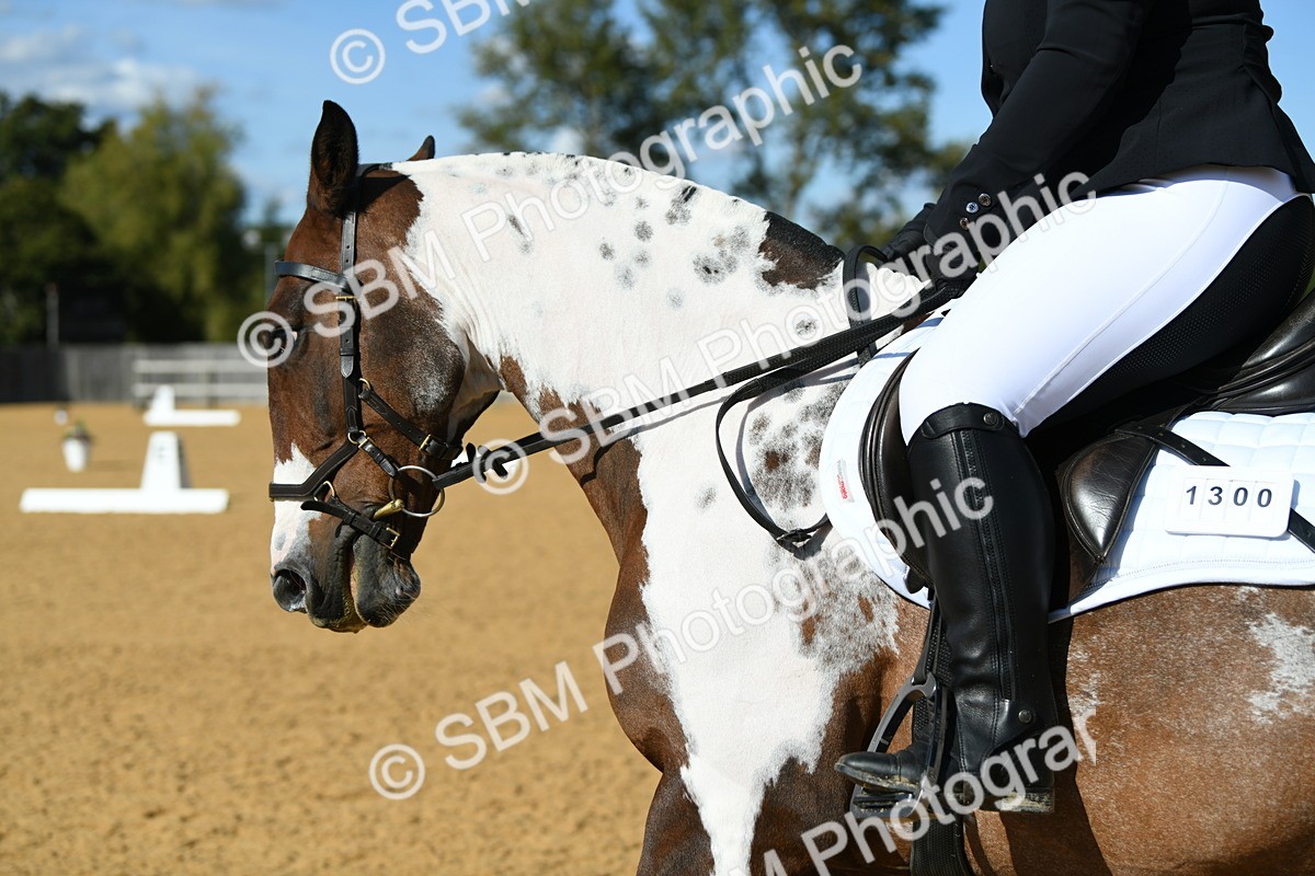 SBM_25086 - D13 - Grand Tour Championship - Prelim 12