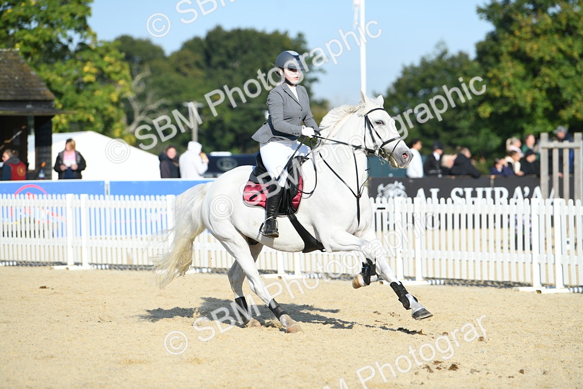 SBM_58383 - J24 - Junior Horse 75cm Championship