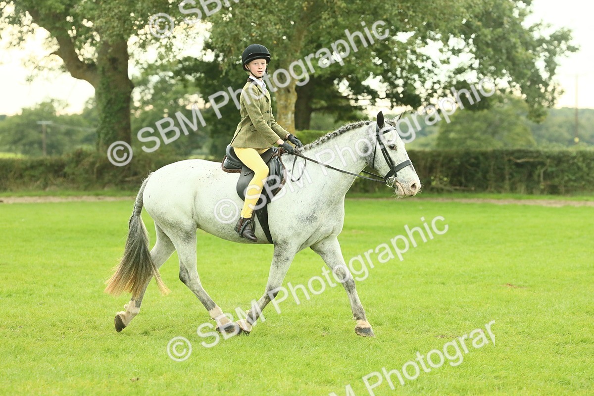 SBM_73928 - S 61 - Show Pony & Show Hunter Pony Ridden
