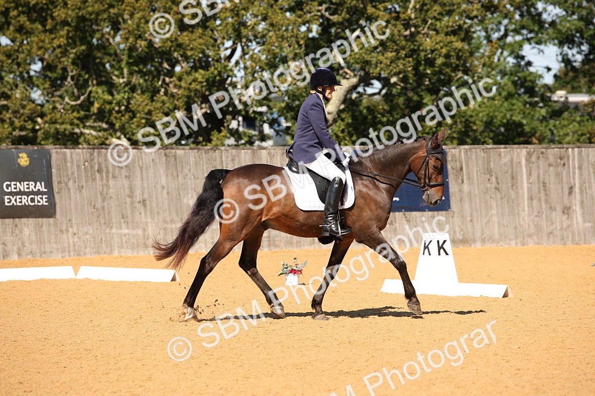 SBM_21613 - D5 - Small Tour Championship - Intro C