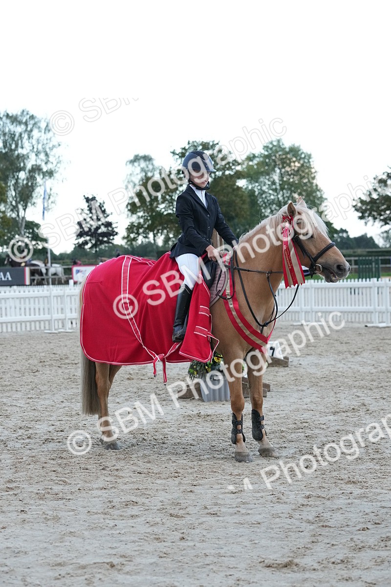 SBM_54227 - Supreme Championship 60cm 65cm