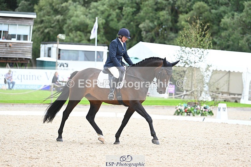 230813-143827-07800 - Cls 13 Medium Bronze 13.15 to End