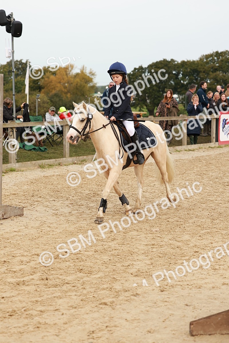 SBM_57662 - J11 - Junior Pony 50cm Championship