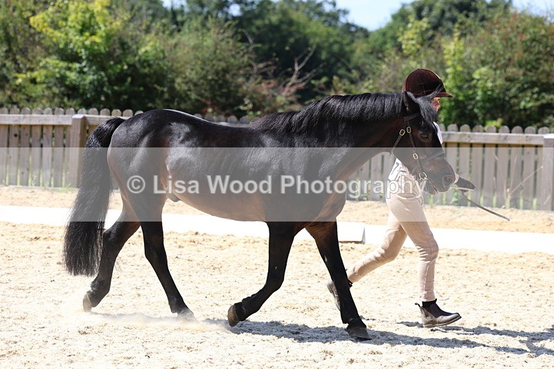 3E7A9395 - Class 29: Veteran In Hand