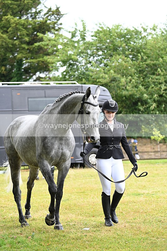 WJ7_6119 - Class 4a Prettiest Mare over 14hh