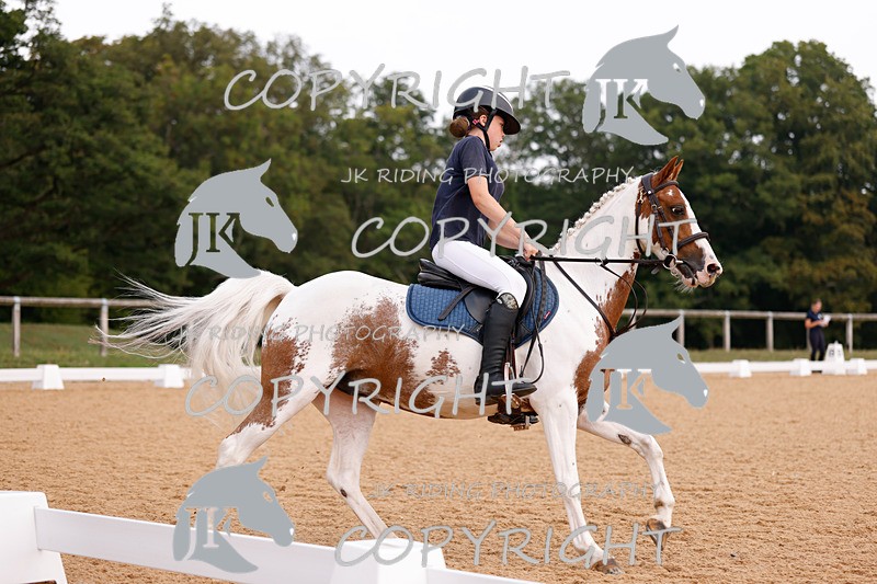 _R6A2635 - Dressage Morning
