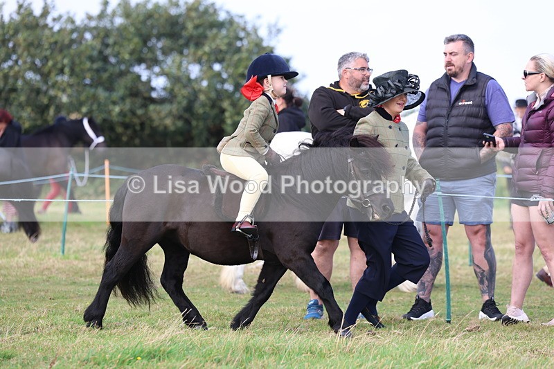 3E7A3514 - Class 2: Lead rein