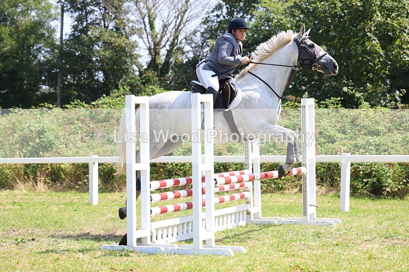 3E7A2901 - Class 7: Senior British Novice/90cm open
