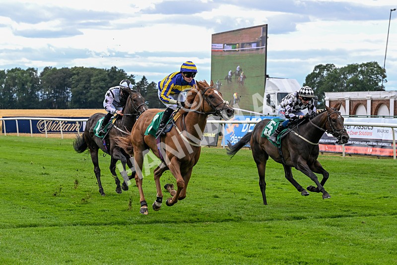 070826-Race 4-Azuinthejungle-1845 - Race 4 15.40pm Ladies' Day Saturday 5th September - Book Now Handicap
