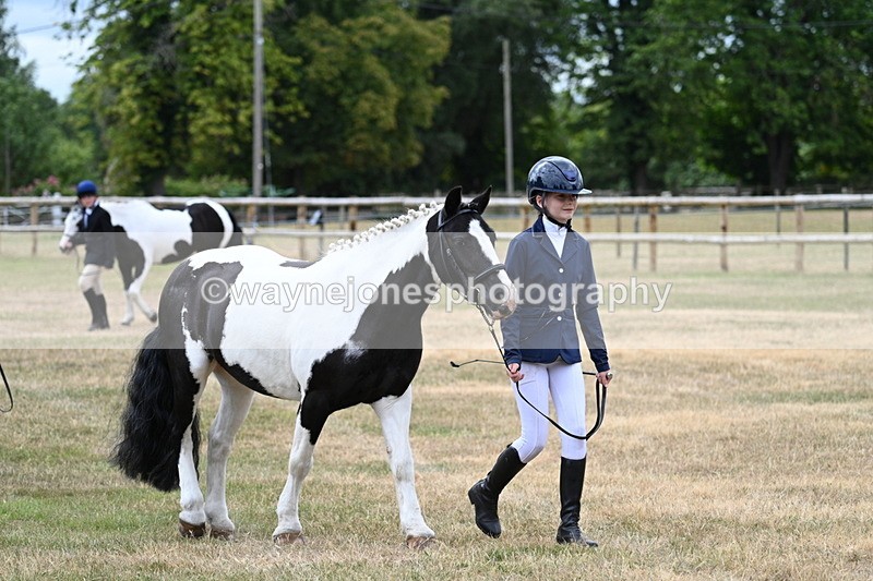 WJ7_1435 - Class 4 Prettiest Mare up to 14.2hh in hand