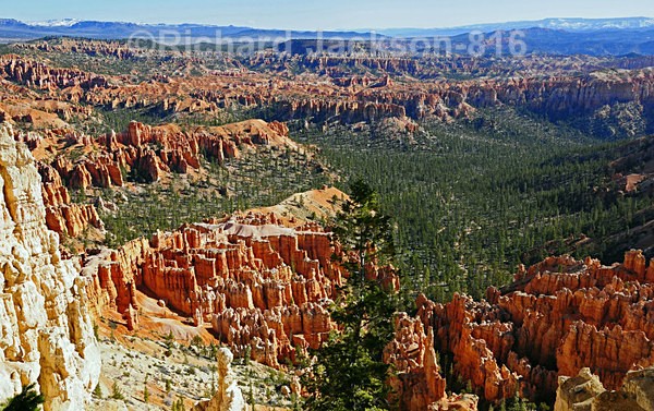 Image #11 - Bryce Canyon National Pk.- 2011