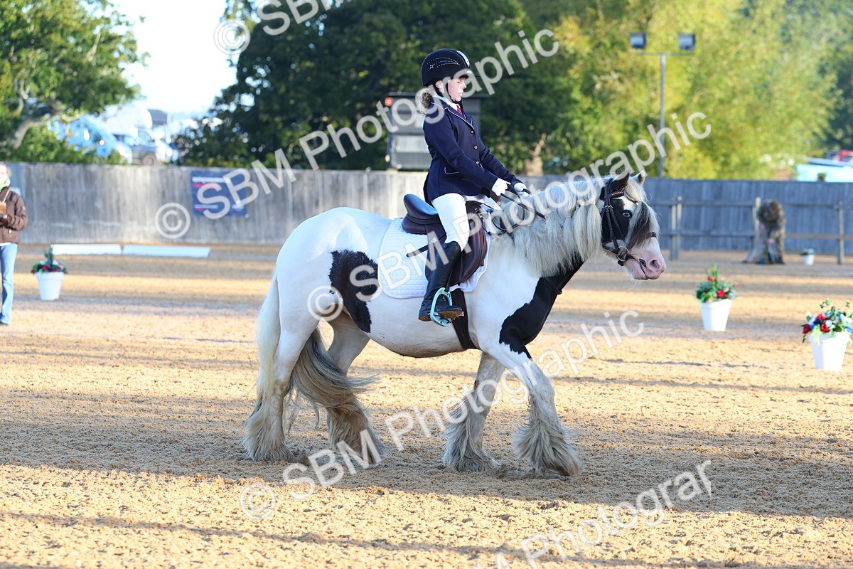 SBM_33413 - D26 - Test Starter Test 1