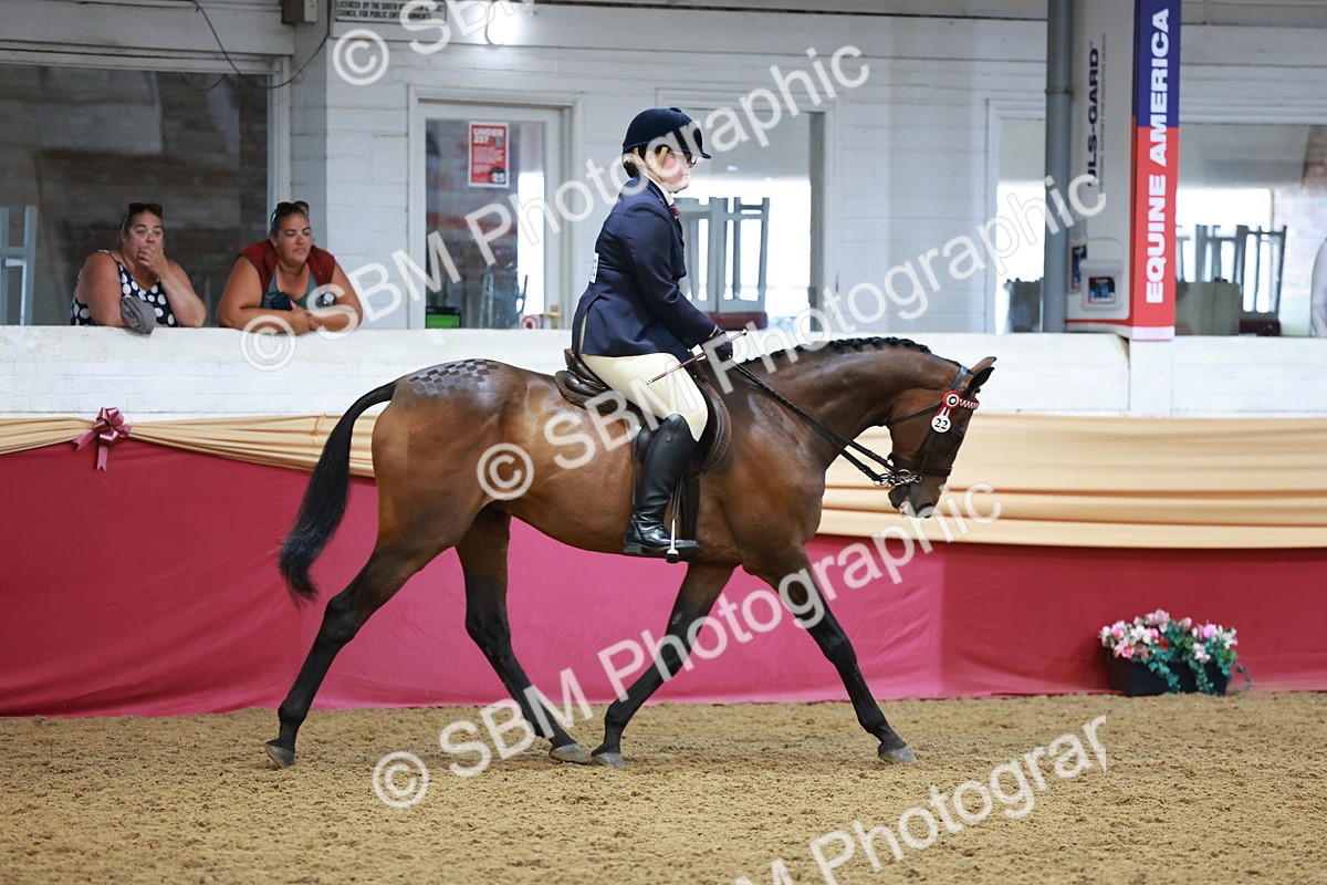 SBM_14951 - Class 108 - Ridden Retired Racehorse