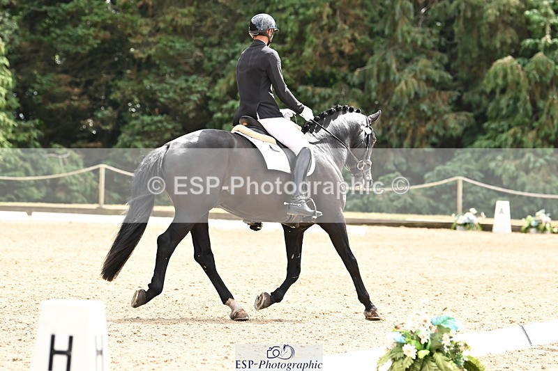 250808A-140336-00769 - 128-Joe.RoomeMonarchs.Way.Tobiah