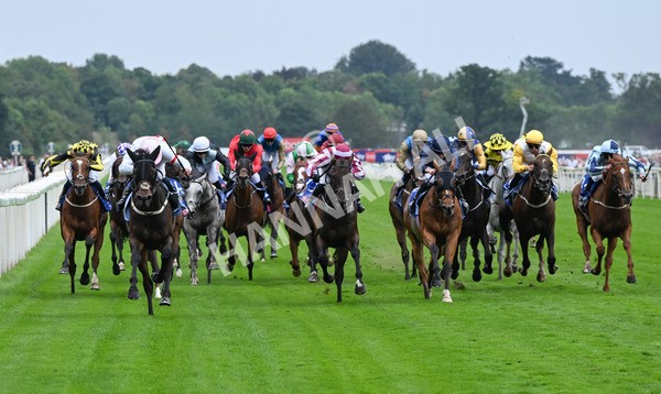 230825-113 Ethical Diamond - Race 4 3.35pm Sky Bet Ebor Handicap