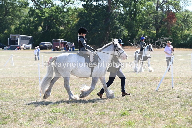 WJ6_7818 - Class 36 Lead Rein