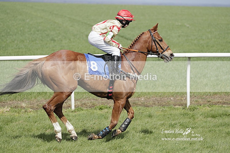 PtP PR 100423 324 - Pony Racing Lockinge 100423