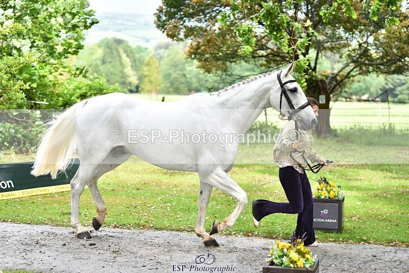 240522-155942-00632 - 112-DISCO_DONUT-Mahony_Knight