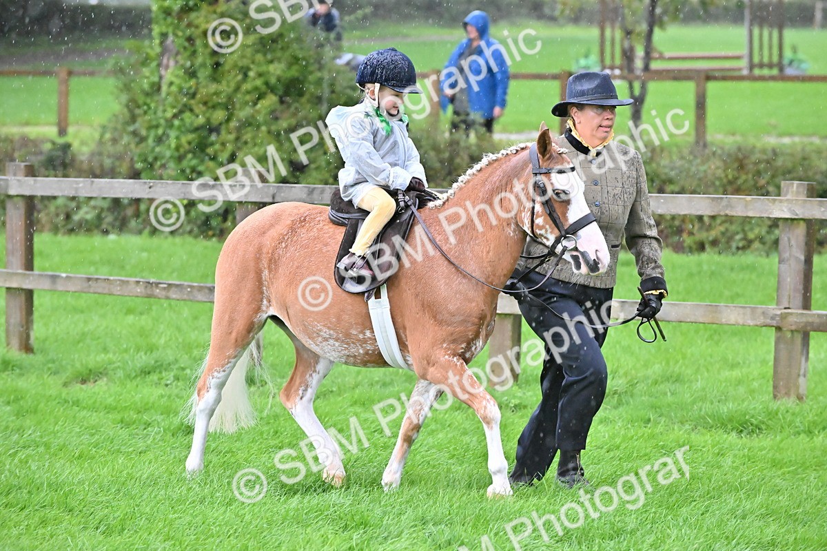 SBM_36469 - S18 - Novice & Newcomer Lead Rein Pony