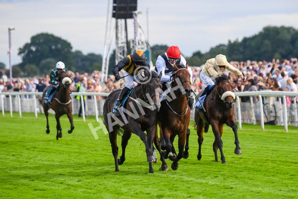 280723-Race 3-Loose Cannon-0288 - Race 3 6.05pm Ire-Incentive, It Pays To Buy Irish EBF Restricted Novice Stakes