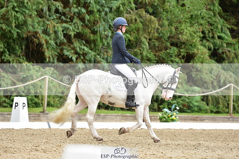 250719A-143738-06312 - 166-Ruby.Vincent-Silver.lining