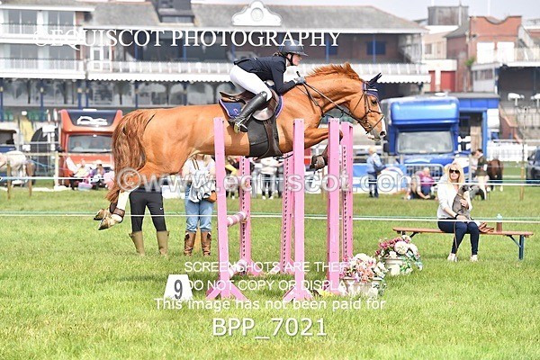 BPP_7021 - CLASS 3 RHS Fox Champ Qual (1.20m)