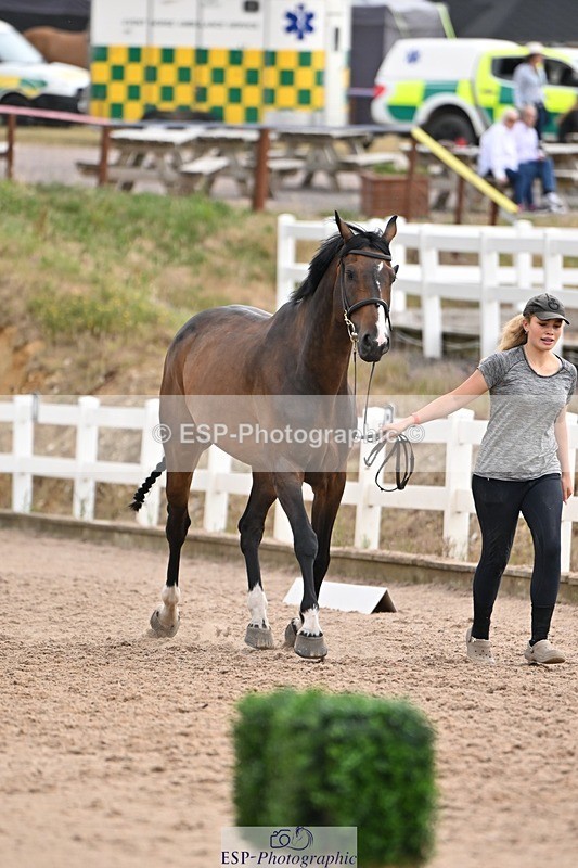 250716-145702-01540 - Trot Up 2.30 to 3.30