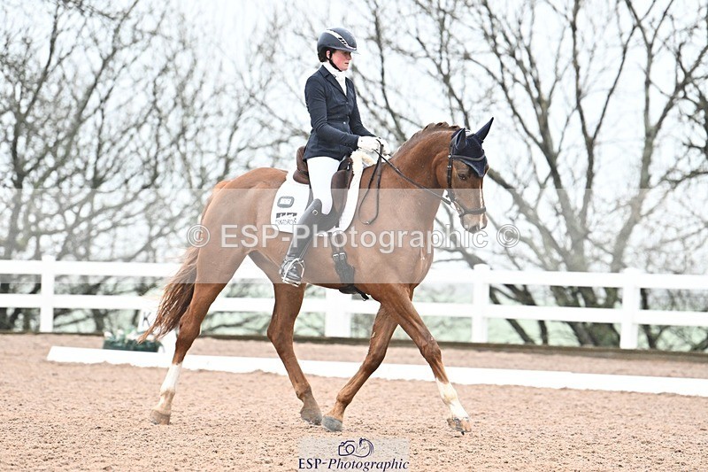 250215-113035-03199 - 257-Beth.Bainbridge-NEWTON.GLOVETROTTER