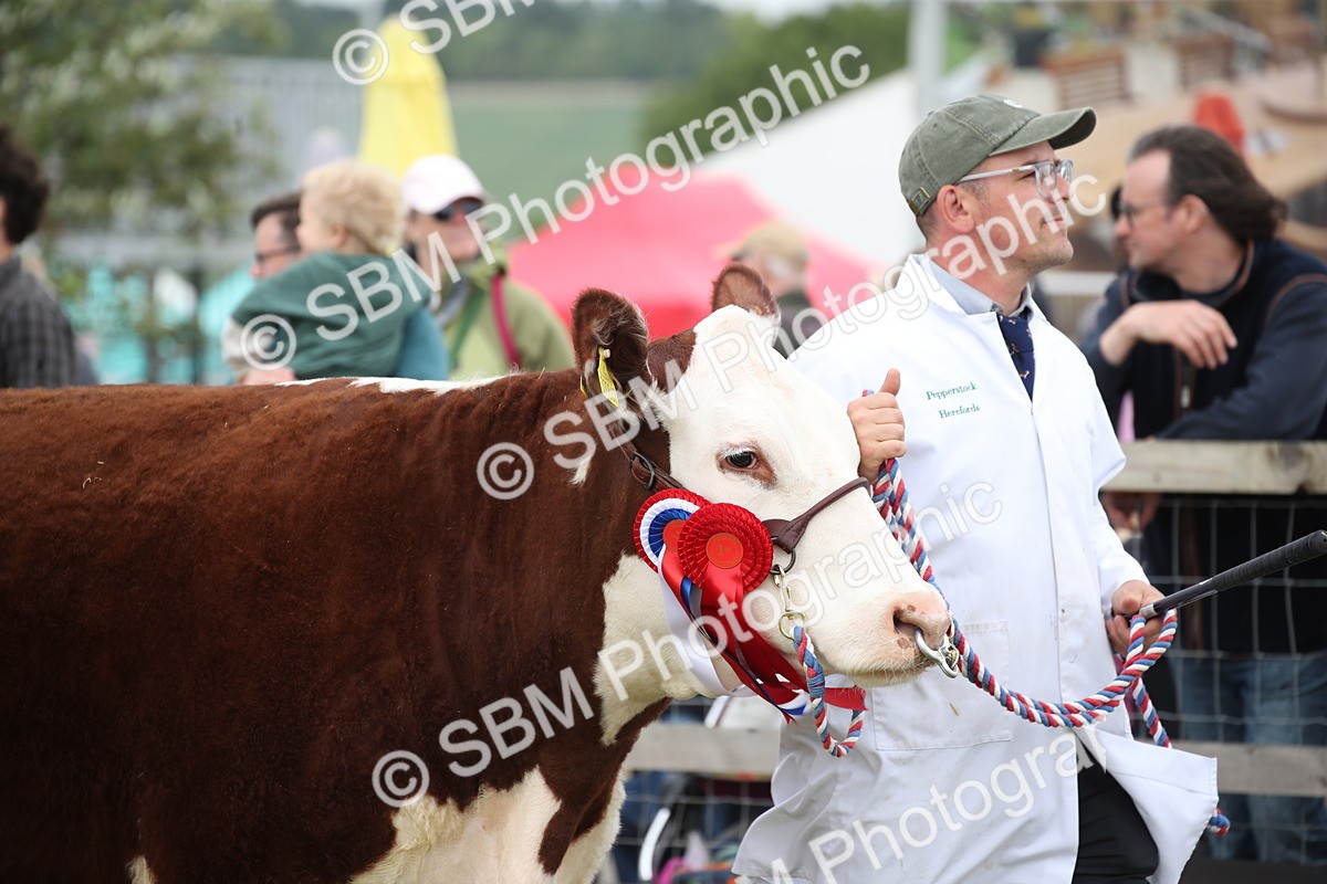 SBM_07835 - Grand Parade