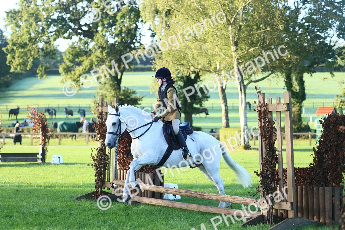 SBM_31715 - S28 - Nursery Stakes Working Hunter Pony