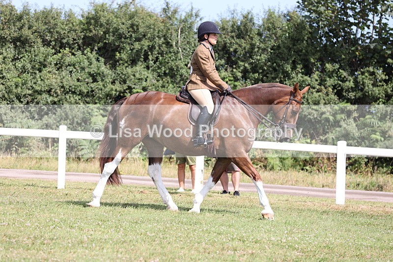 JPP_1161 - Class 17: Cornish Combination Open