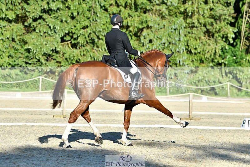 230623-184506-03333 - Cls 11 FEI PSG