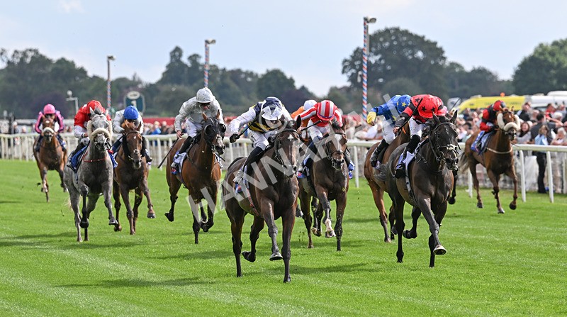 190826-180 Small Fry - Race 5 16.10pm Sky Bet Stayers Handicap