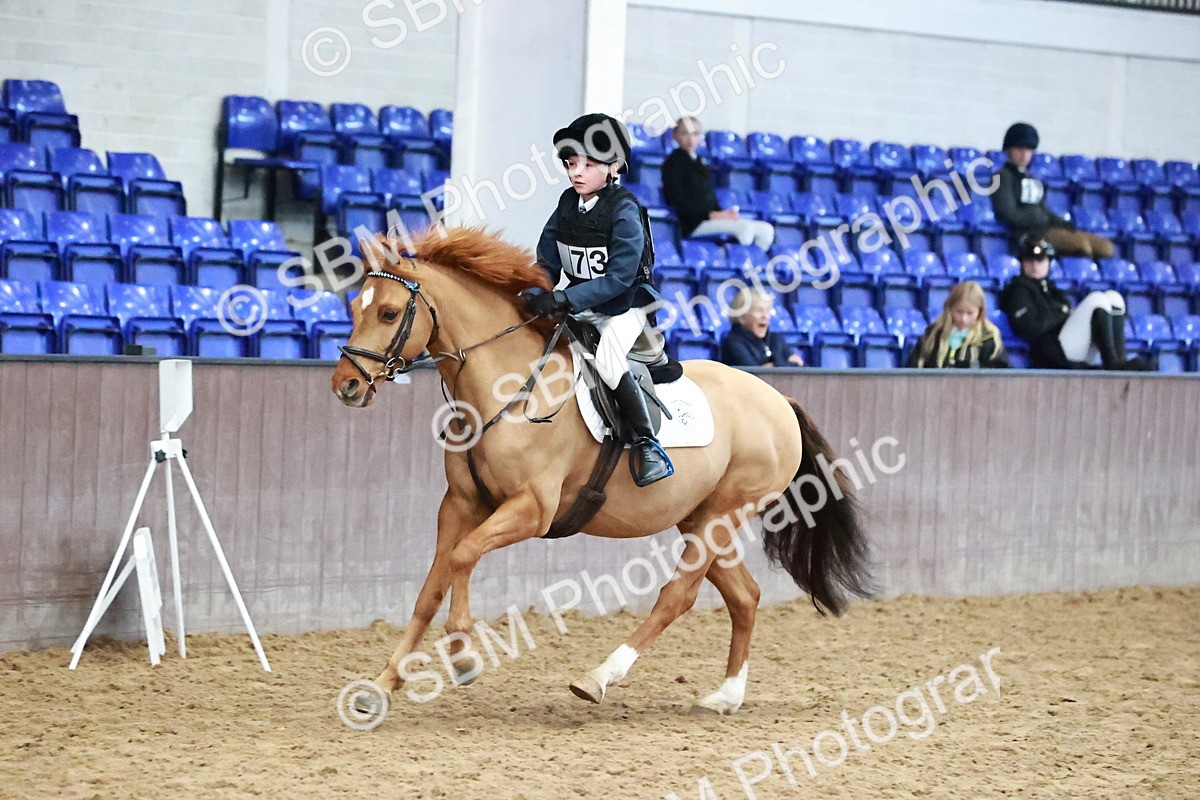 SBM_000672 - Class 2 - Show Jumping 50cm