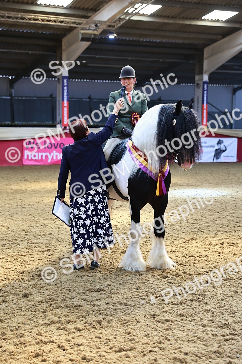SBM_12785 - HOYS Veteran Qualifier - Ridden Champ