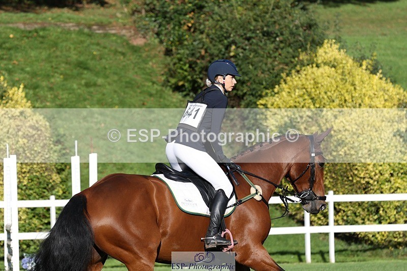 231022-102850-24551 - 641-SILVER.ROCK-Lucy.Boultbee-brooks-TrotUp+SJ