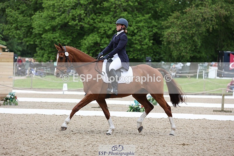 240524-090133-07035 - 251-MILESTONE_GOLD-Gaby_Bull