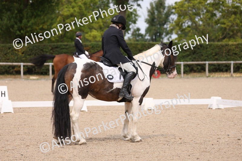 20250819-1359 - Class 4 - Novice 2