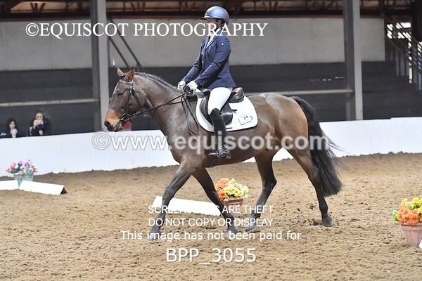 BPP_3055 - INTRO TEST 1