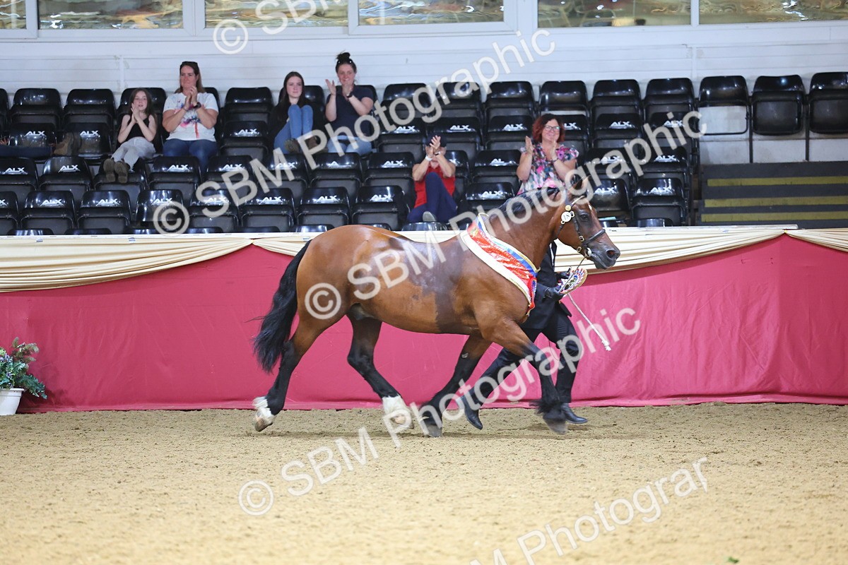 SBM_25027 - Grand Supreme Final Overall Champion