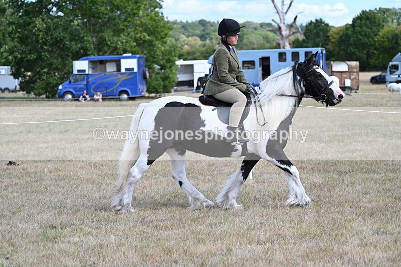 WJ7_6821 - Class 14 Ridden Coloured