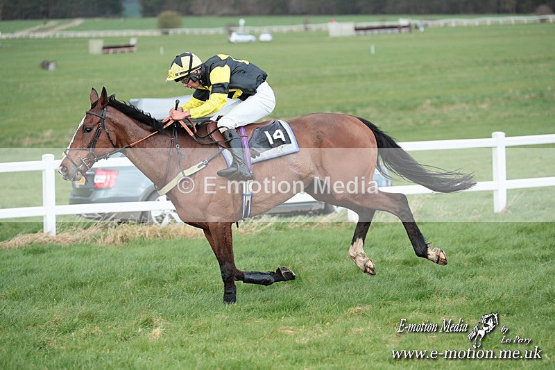PtP 230324 895 - Tedworth Hunt PtP Larkhill Raccourse 23rd March 2024