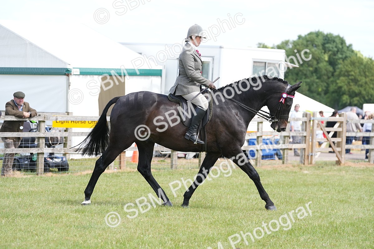 SBM_16288 - Class 105-106 - RIHS Riding Horses