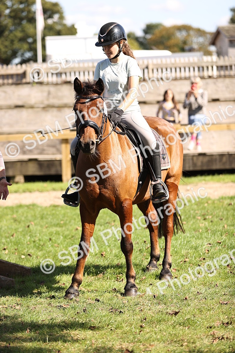 SBM_23069 - S4 - Have a Go at Working Equitation
