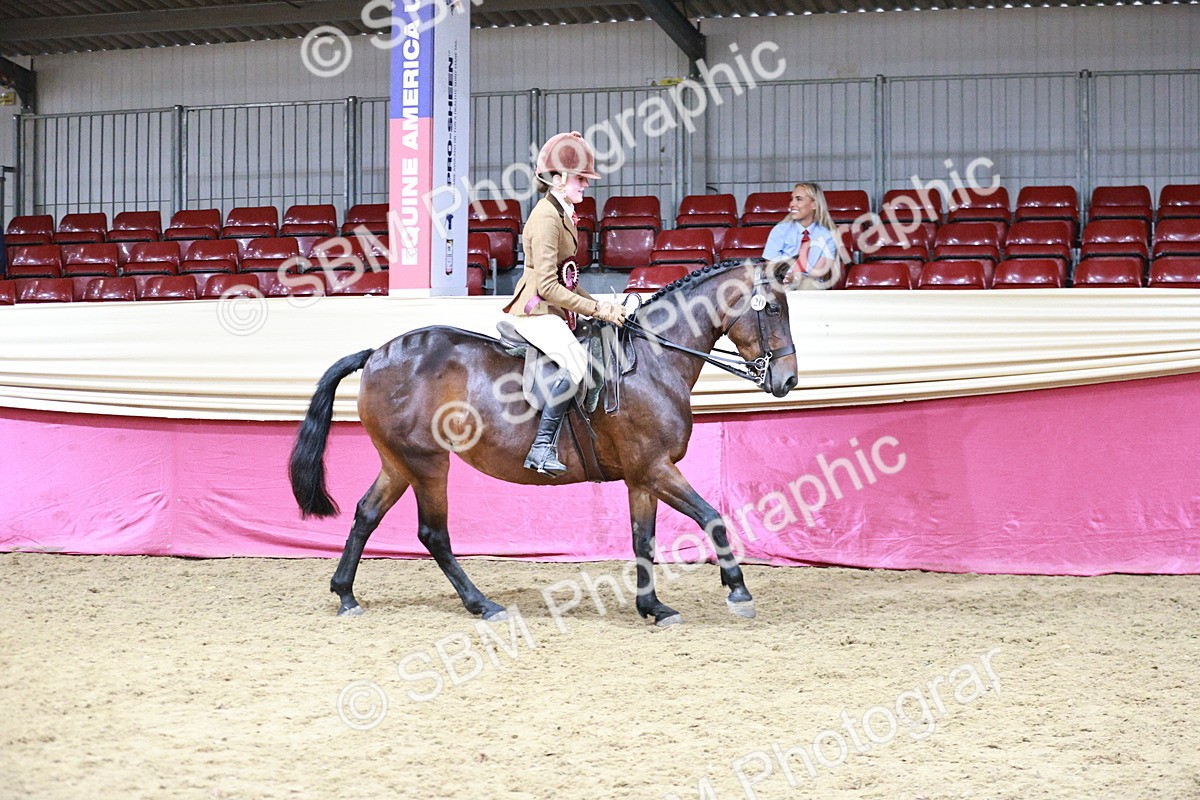 SBM_08396 - Class 11R - Regional Ridden Veteran