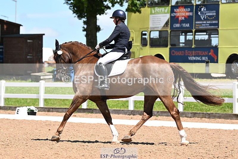 240621A-134656-04157 - Cls 8 BD Elementary 53