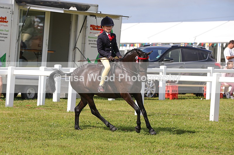 1X9A3744 - Class 30: First Ridden SP/SHP