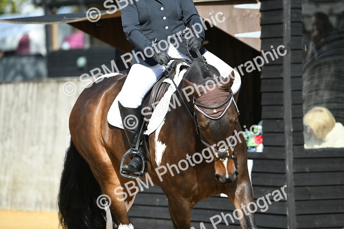 SBM_26997 - D16 - Small Tour Championship - Novice 28