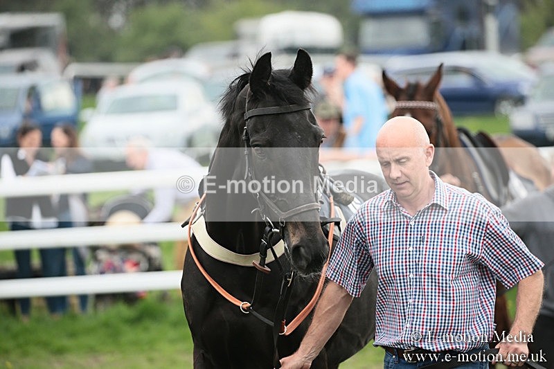 PtP 210418 141 - South & West Wilts Point-to-Point Larkhill 21/04/18